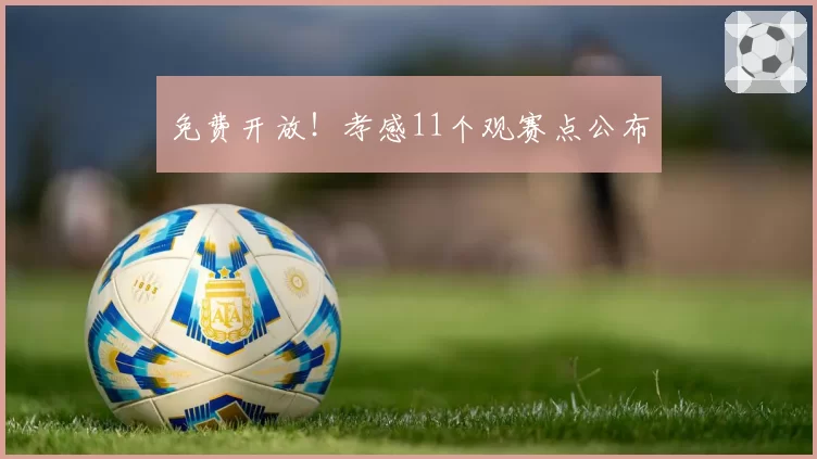 免费开放！孝感11个观赛点公布