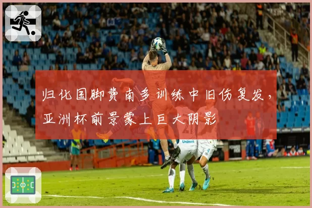 归化国脚费南多训练中旧伤复发，亚洲杯前景蒙上巨大阴影