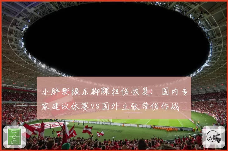 小胖樊振东脚踝扭伤恢复:国内专家建议休赛vs国外主张带伤作战