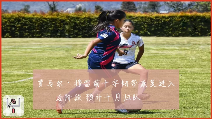 贾马尔·穆雷前十字韧带康复进入最后阶段 预计十月归队
