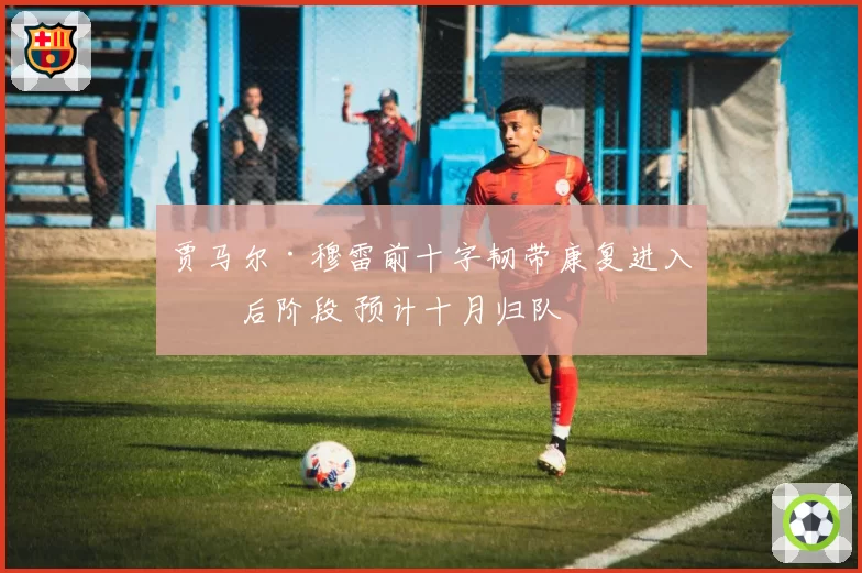 贾马尔·穆雷前十字韧带康复进入最后阶段 预计十月归队